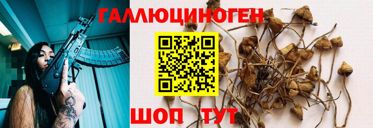 Галлюциногенные грибы Cubensis  Вход с VPN  Электрогорск  Галлюциногенные грибы Magic Shrooms 